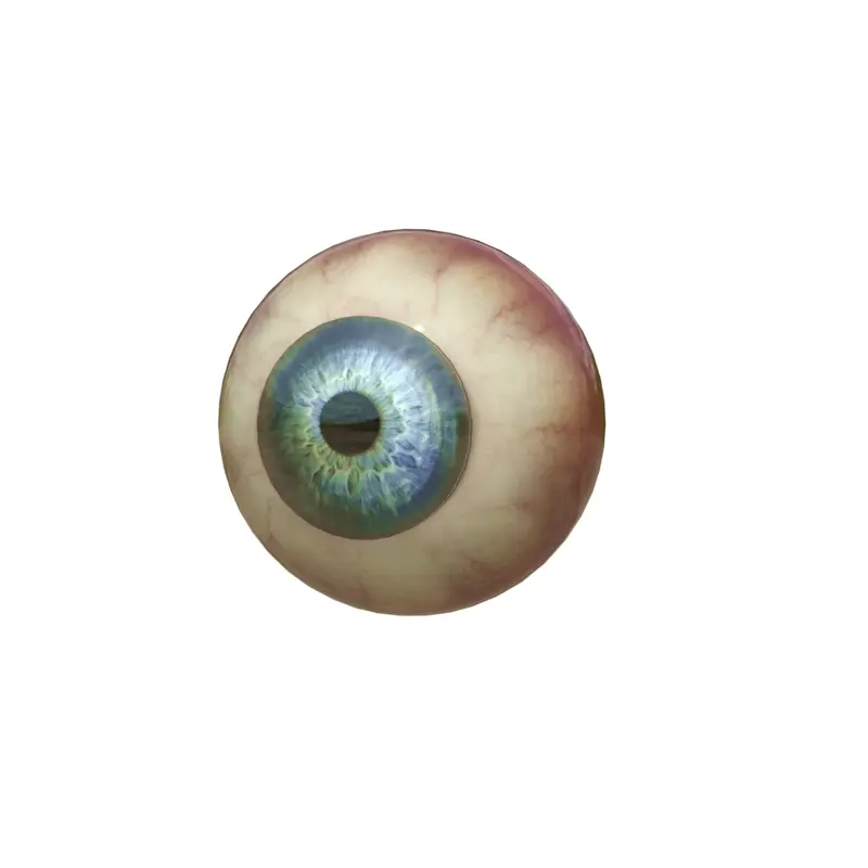 Eye 3D Animation